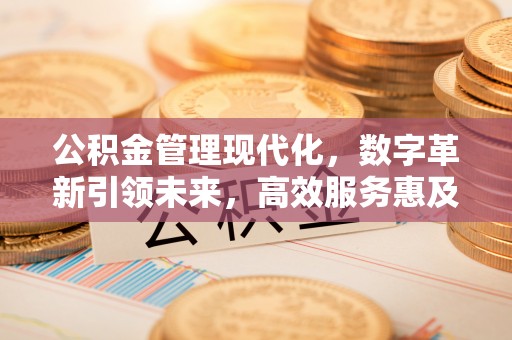 和田县公积金管理现代化，数字革新引领未来，高效服务惠及民生