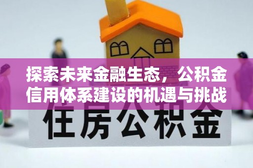 和田县探索未来金融生态，公积金信用体系建设的机遇与挑战