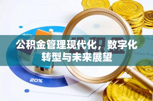 和田县公积金管理现代化，数字化转型与未来展望