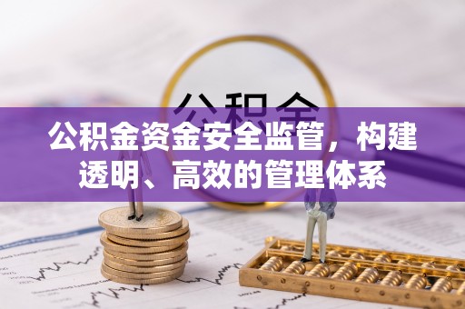 和田县公积金资金安全监管，构建透明、高效的管理体系