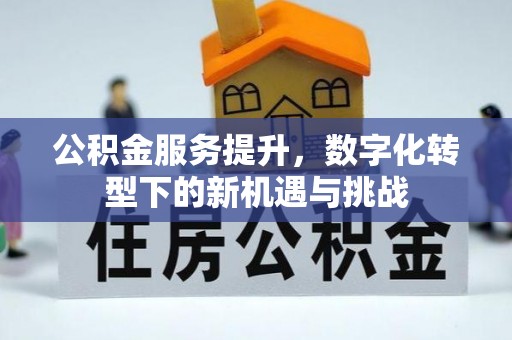 和田县公积金服务提升，数字化转型下的新机遇与挑战