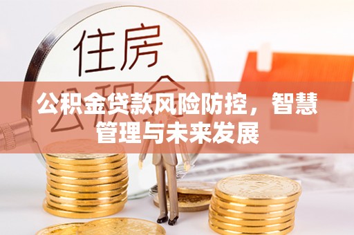和田县公积金贷款风险防控，智慧管理与未来发展