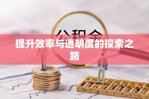 和田县提升效率与透明度的探索之路