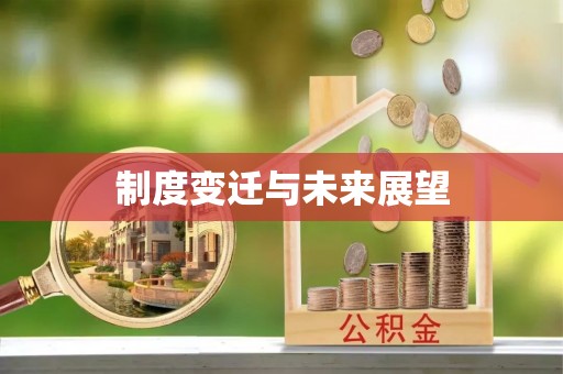 和田县制度变迁与未来展望