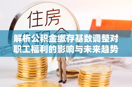 和田县解析公积金缴存基数调整对职工福利的影响与未来趋势