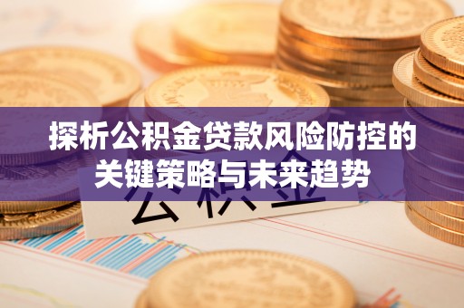 和田县探析公积金贷款风险防控的关键策略与未来趋势