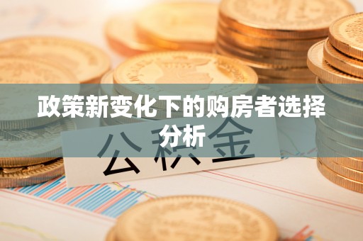 和田县政策新变化下的购房者选择分析