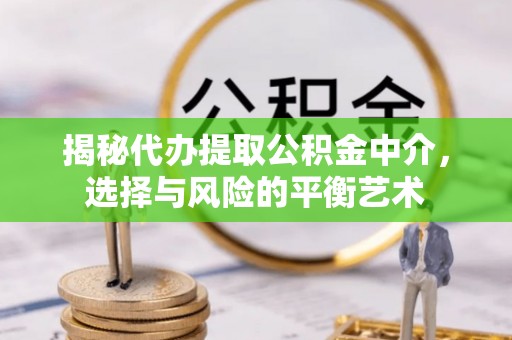 和田县揭秘代办提取公积金中介，选择与风险的平衡艺术