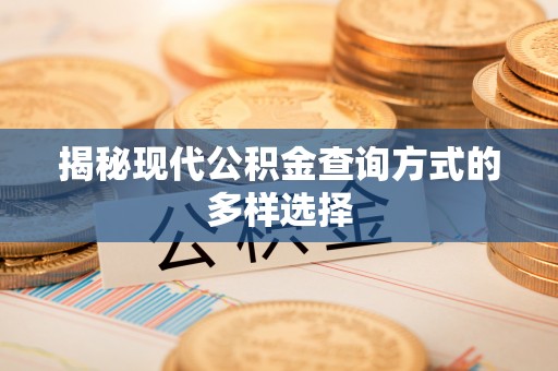 和田县揭秘现代公积金查询方式的多样选择
