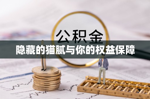 和田县隐藏的猫腻与你的权益保障