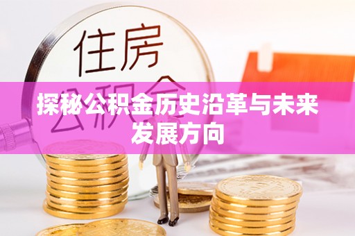 和田县探秘公积金历史沿革与未来发展方向