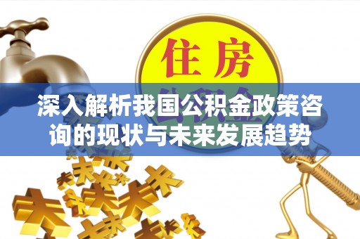 和田县深入解析我国公积金政策咨询的现状与未来发展趋势