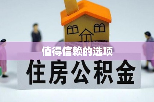 和田县值得信赖的选项