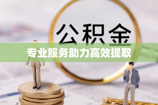 和田县专业服务助力高效提取