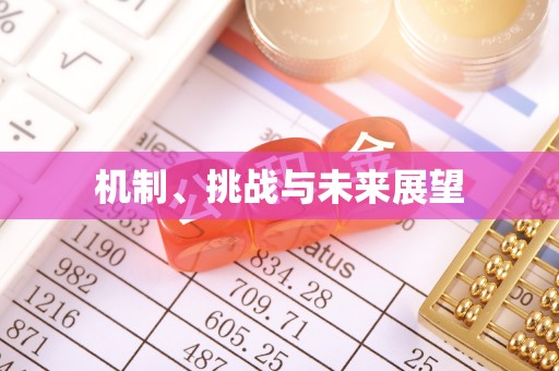 和田县机制、挑战与未来展望